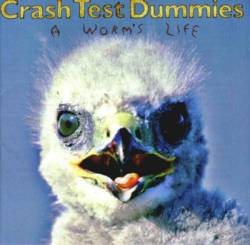 Crash Test Dummies : A Worm's Life